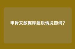 甲骨文数据库建设情况如何？