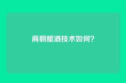 商朝酿酒技术如何？