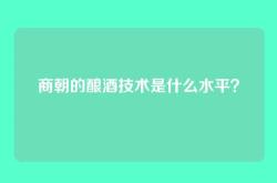 商朝的酿酒技术是什么水平？