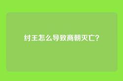 纣王怎么导致商朝灭亡？