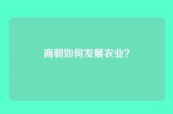 商朝如何发展农业？