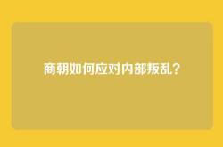 商朝如何应对内部叛乱？