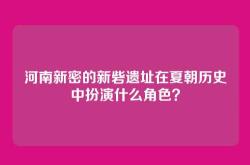 河南新密的新砦遗址在夏朝历史中扮演什么角色？