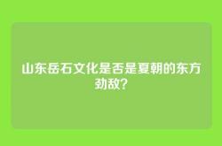 山东岳石文化是否是夏朝的东方劲敌？