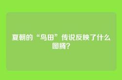 夏朝的“鸟田”传说反映了什么图腾？
