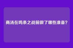 商汤在鸣条之战前做了哪些准备？