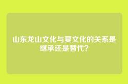 山东龙山文化与夏文化的关系是继承还是替代？