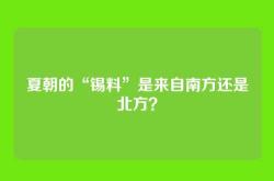 夏朝的“锡料”是来自南方还是北方？