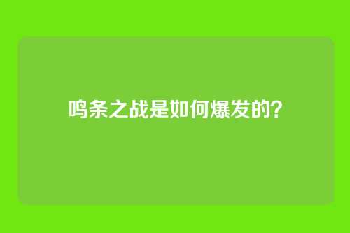 鸣条之战是如何爆发的？