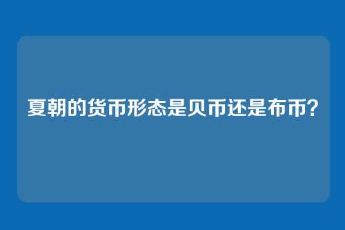 夏朝的货币形态是贝币还是布币?