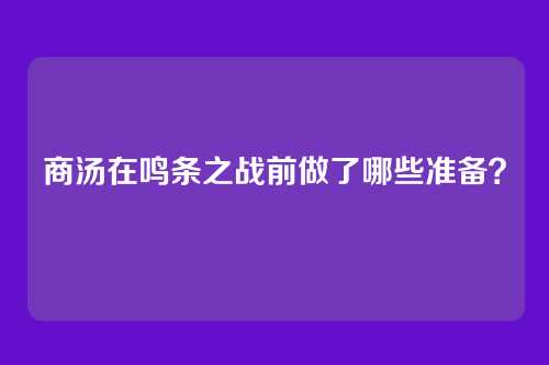商汤在鸣条之战前做了哪些准备?