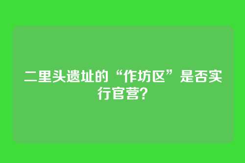 二里头遗址的“作坊区”是否实行官营？