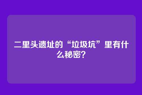 二里头遗址的“垃圾坑”里有什么秘密？